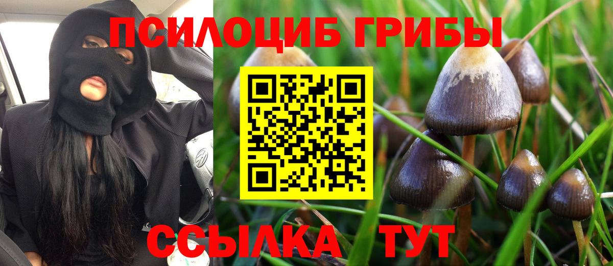 Подольск  Галлюциногенные грибы GOLDEN TEACHER  Галлюциногенные грибы Magic Shrooms  Вход с VPN 