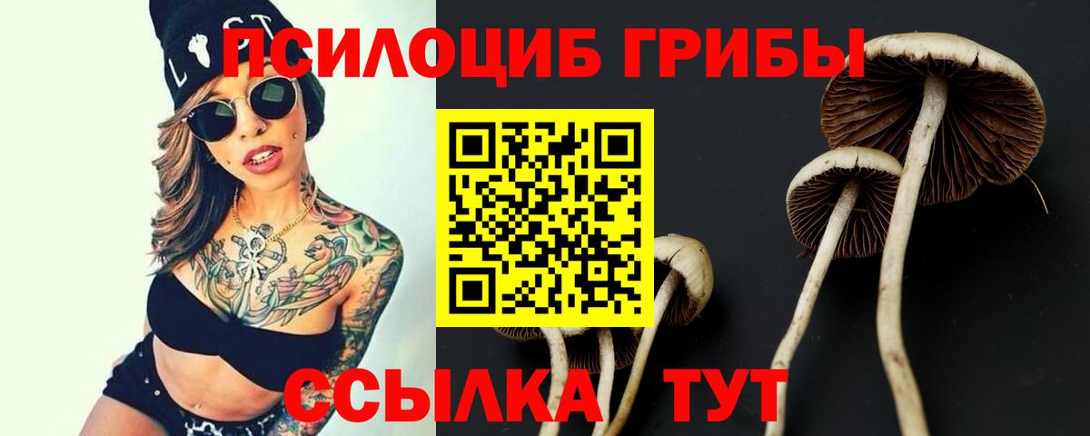 Псилоцибиновые грибы MAGIC MUSHROOMS Подольск